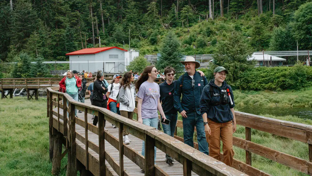 A boardwalk through dripping Tongass rainforest at the Alaska Rainforest Sanctuary on a totem park walk in Ketchikan, Alaska